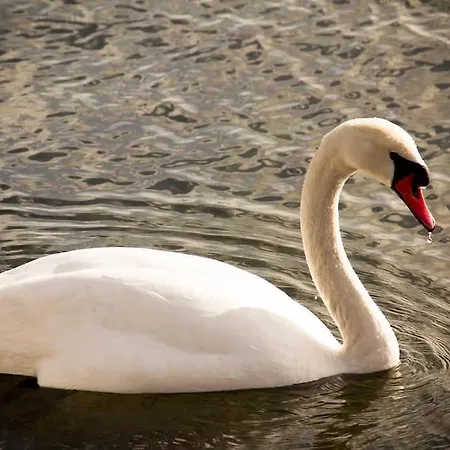 2br Next To The Lakes Apartamento Copenhaga